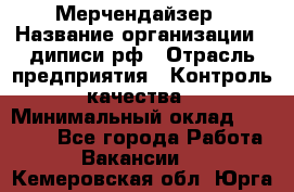 Мерчендайзер › Название организации ­ диписи.рф › Отрасль предприятия ­ Контроль качества › Минимальный оклад ­ 20 000 - Все города Работа » Вакансии   . Кемеровская обл.,Юрга г.